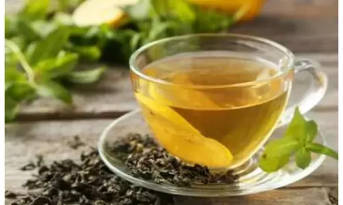 green tea benefits green tea benefits
