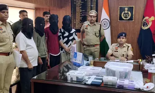 cyber fraud gang arrest