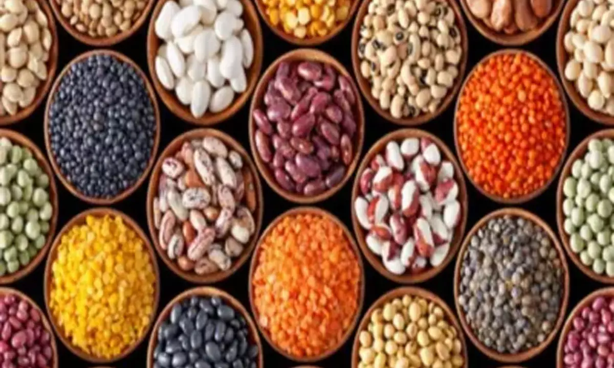 कृषक उन्नति योजना पर अमल शुरू :  धान के बदले दलहन, तिलहन पर किसानों को मिलेंगे प्रति एकड़ 11 हजार रुपए