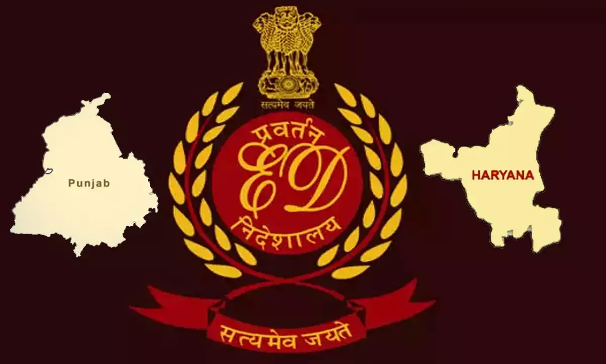 ED Raid Donkey Route Cases