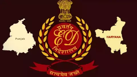 ED Raid Donkey Route Cases