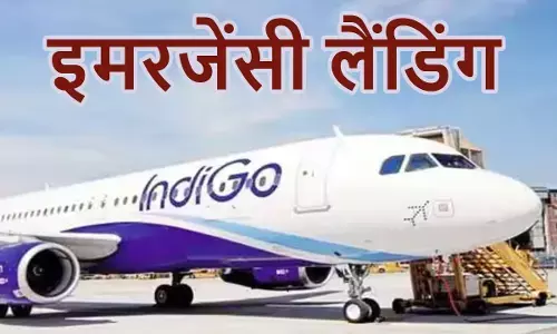 Bird hits Indigo flight
