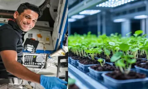 Shubhanshu Shukla Space Mission, Indian Astronaut Sprout Experiment, Sprouts Project ISS, Microgravity Plant Growth