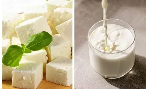 paneer vs milk health benefits