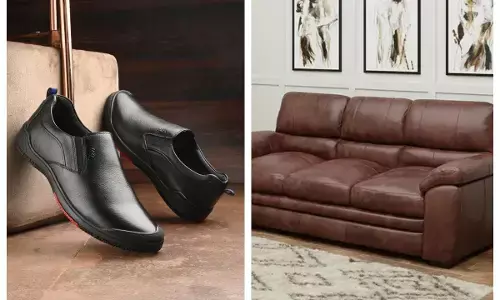 leather sofa and shoes care tips in monsoon