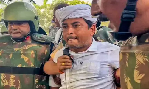 नरेश मीणा को जमानत मिली।