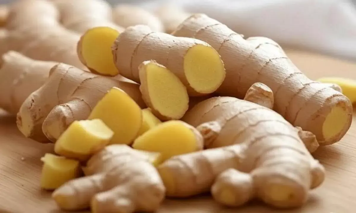 ginger health benefits