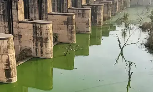 polluted water drainage dispute