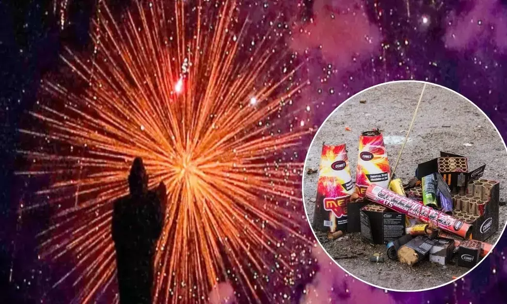 Delhi Firecracker Ban