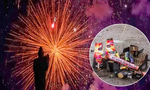 Delhi Firecracker Ban