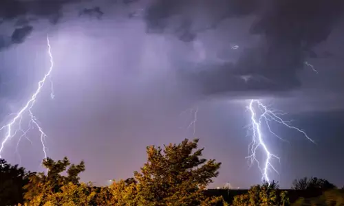 बतौली में आकाशीय बिजली का कहर : मवेशी चराने गए व्यक्ति की मौत, कई मवेशियों की भी गई जान