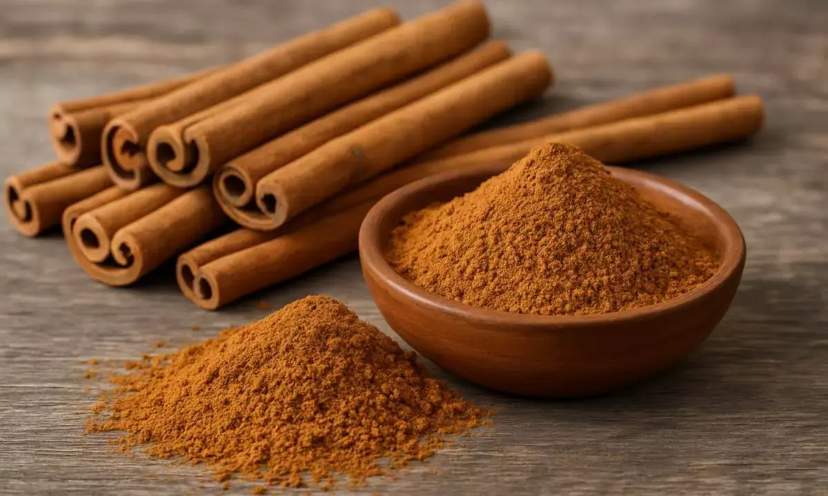 dalchini ke fayde in hindi dalchini ke fayde in hindi