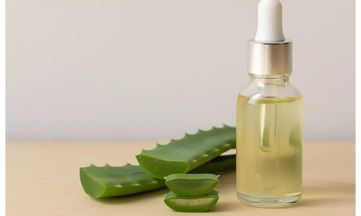 natural hair serum with aloe vera