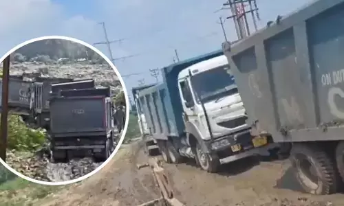 Illegal Waste Dumping In Noida