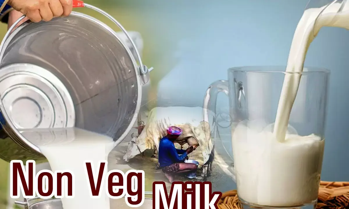 Non Veg Milk & India America Trade Deal