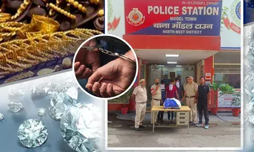 Delhi Model Town Theft Case