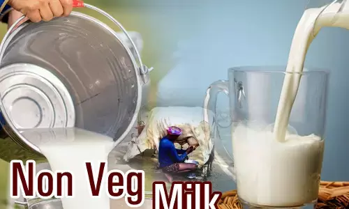 Non Veg Milk & India America Trade Deal