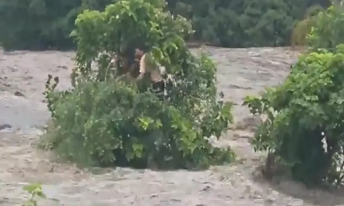 Kumbhalgarh heavy rain incident