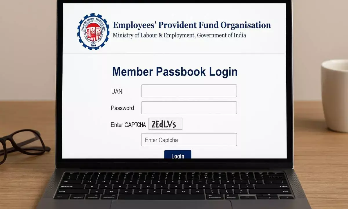 how to check pf balance online