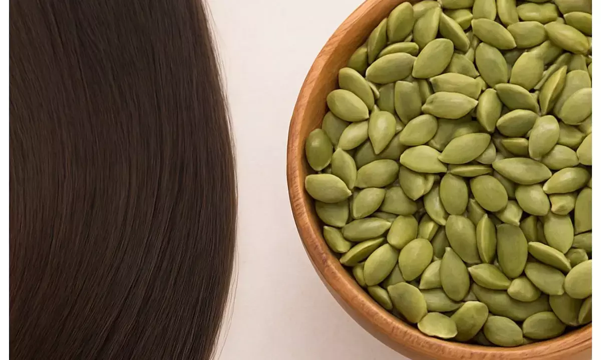 pumpkin seeds for hair pumpkin seeds for hair