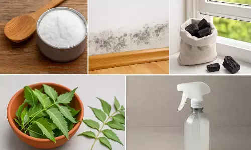house moisture home remedies