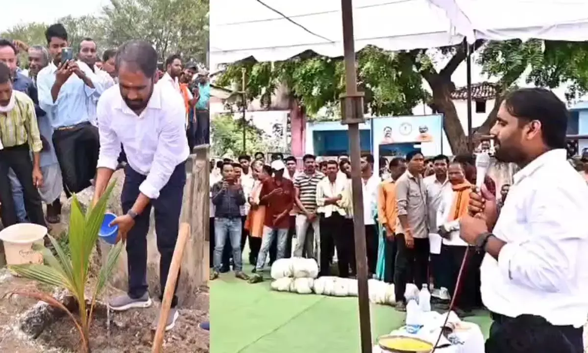 Nagri 4 thousand coconut trees planted 14 km stretch Mahanadi river