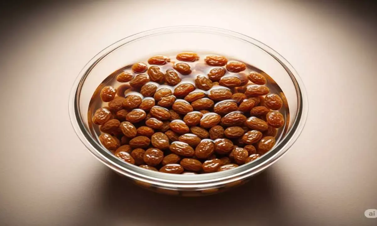 soaked raisins benefits soaked raisins benefits
