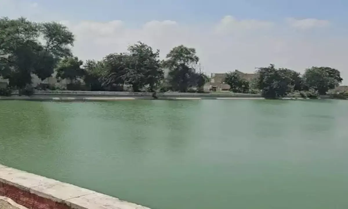 Bhakra Canal