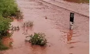 बालोद जिले में पिछले कुछ घंटे से हुई बारिश के बाद जिले के दल्लीराजहरा में रेलवे ट्रैक में पानी भर गया है