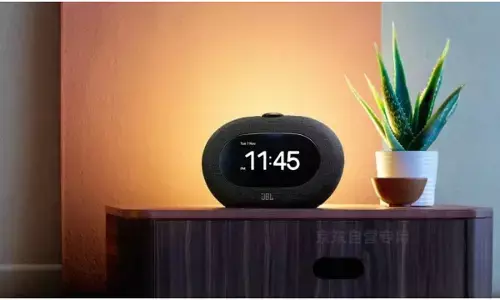 JBL Horizon 3 Bluetooth Speaker