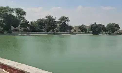 Bhakra Canal