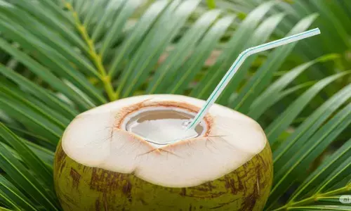 coconut water health benefits coconut water health benefits