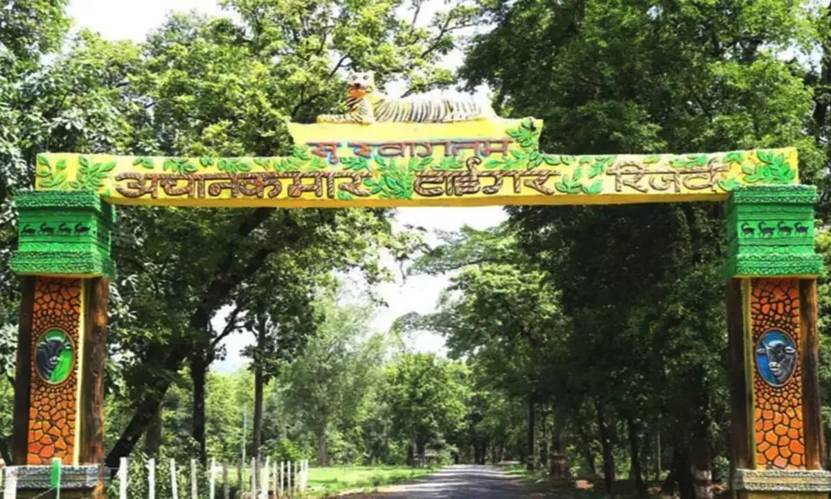 Achanakmar Tiger Reserve