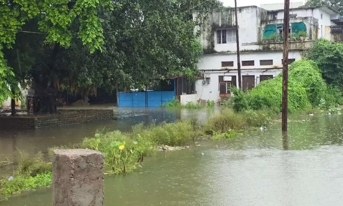 dilip ahirwar mp Chhatarpur heavy rain