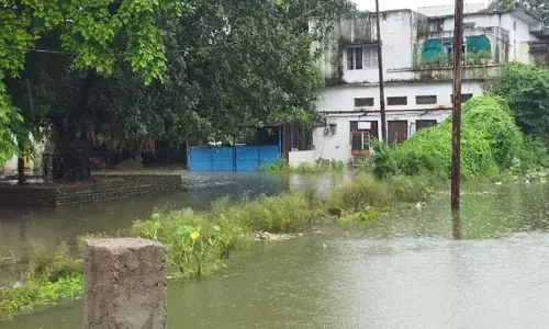 dilip ahirwar mp Chhatarpur heavy rain