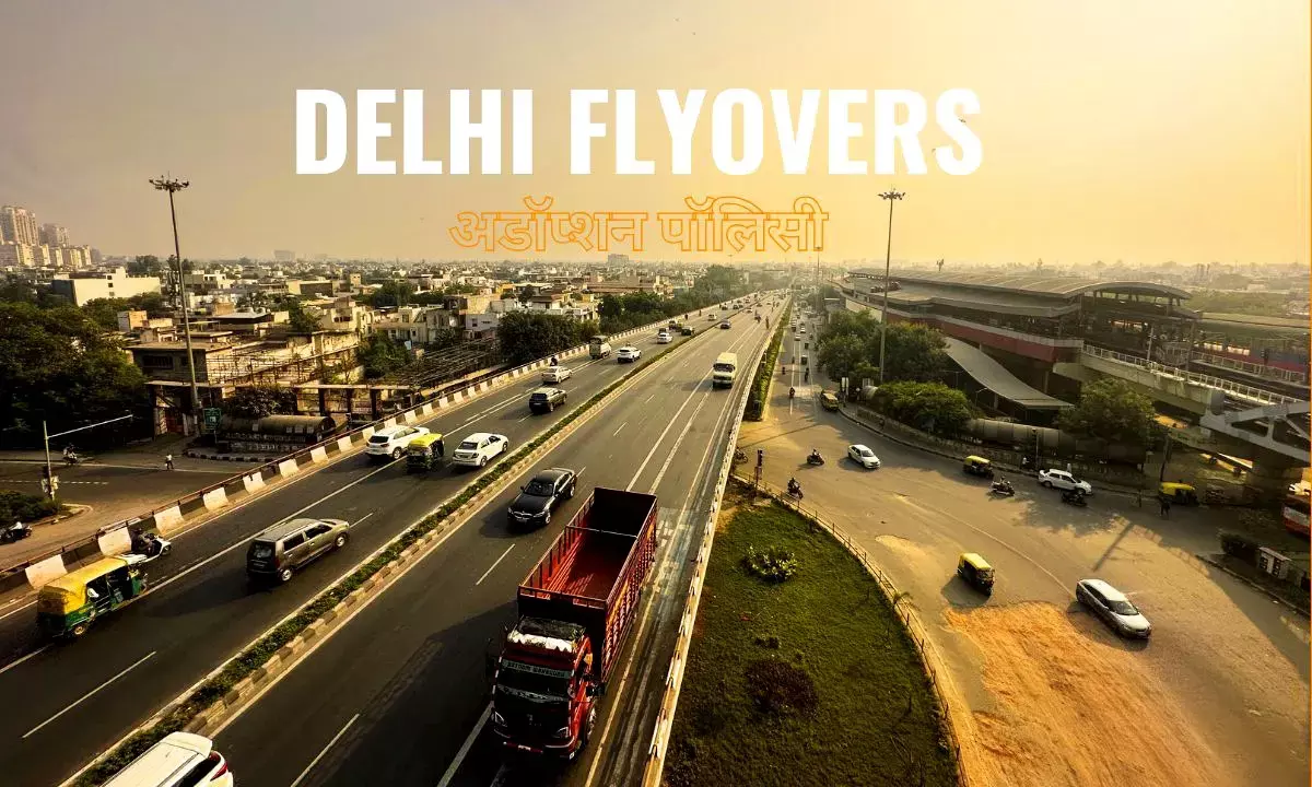 Delhi Flyover Adoption Policy