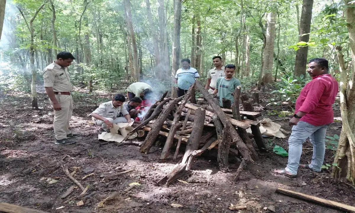 कांगेर घाटी में हिरण का शिकार शिकार करने वाले चार शिकारियों को वन विभाग ने गिरफ्तार किया है