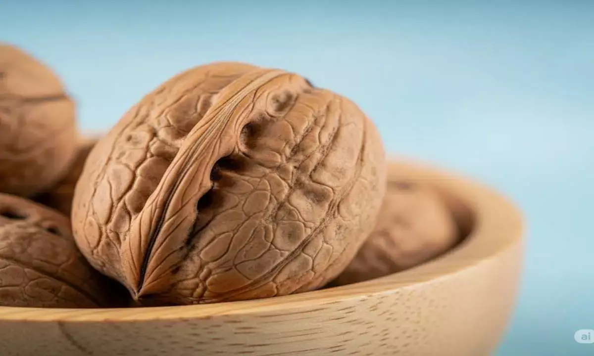when and how to eat walnut