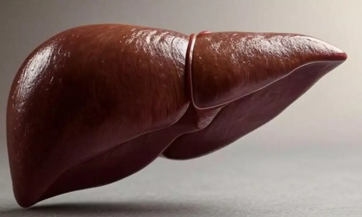 लीवर को रखना है ठीक तो इन चीजों का सेवन करें बद