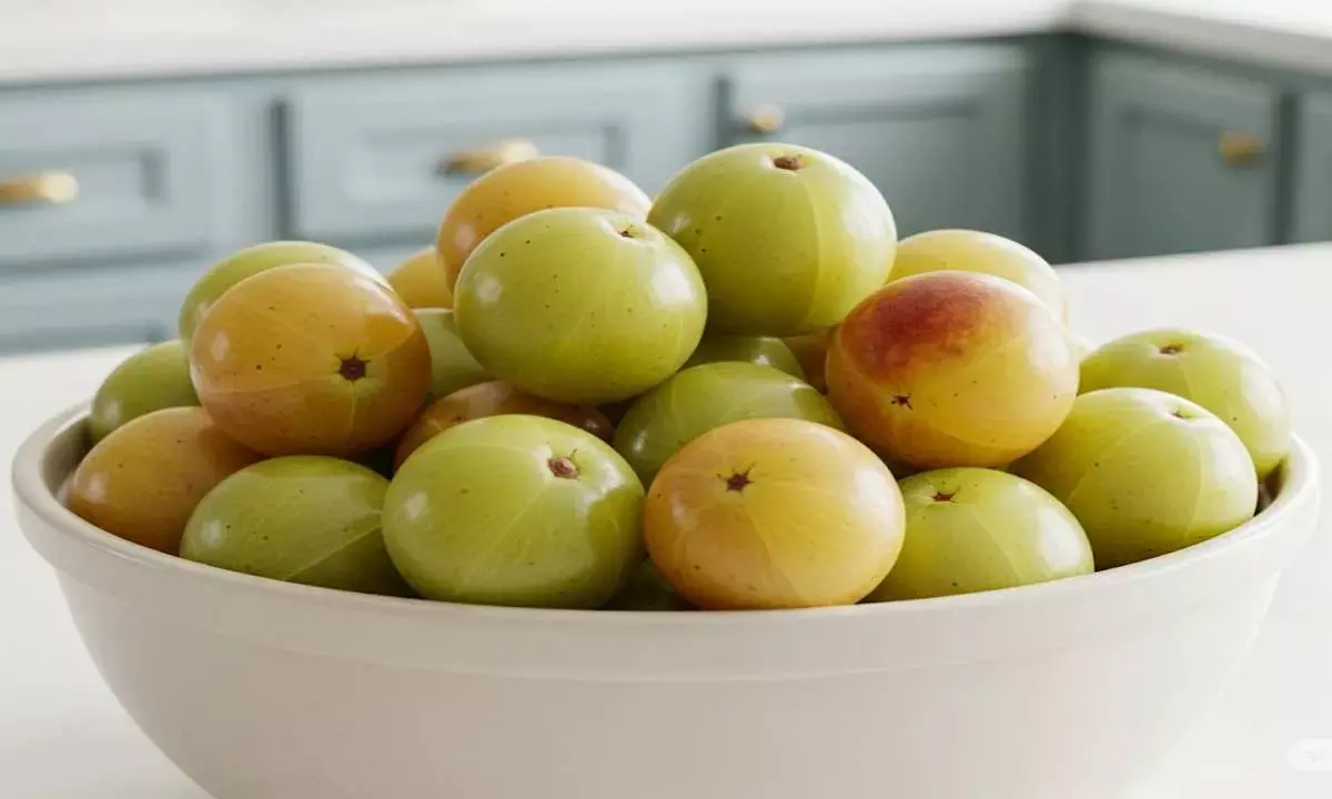 amla health benefits amla health benefits