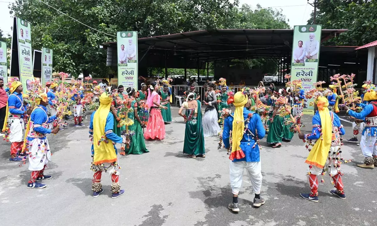 हरेली तिहार के अवसर पर पारंपरिक लोक वाद्यों की गूंज