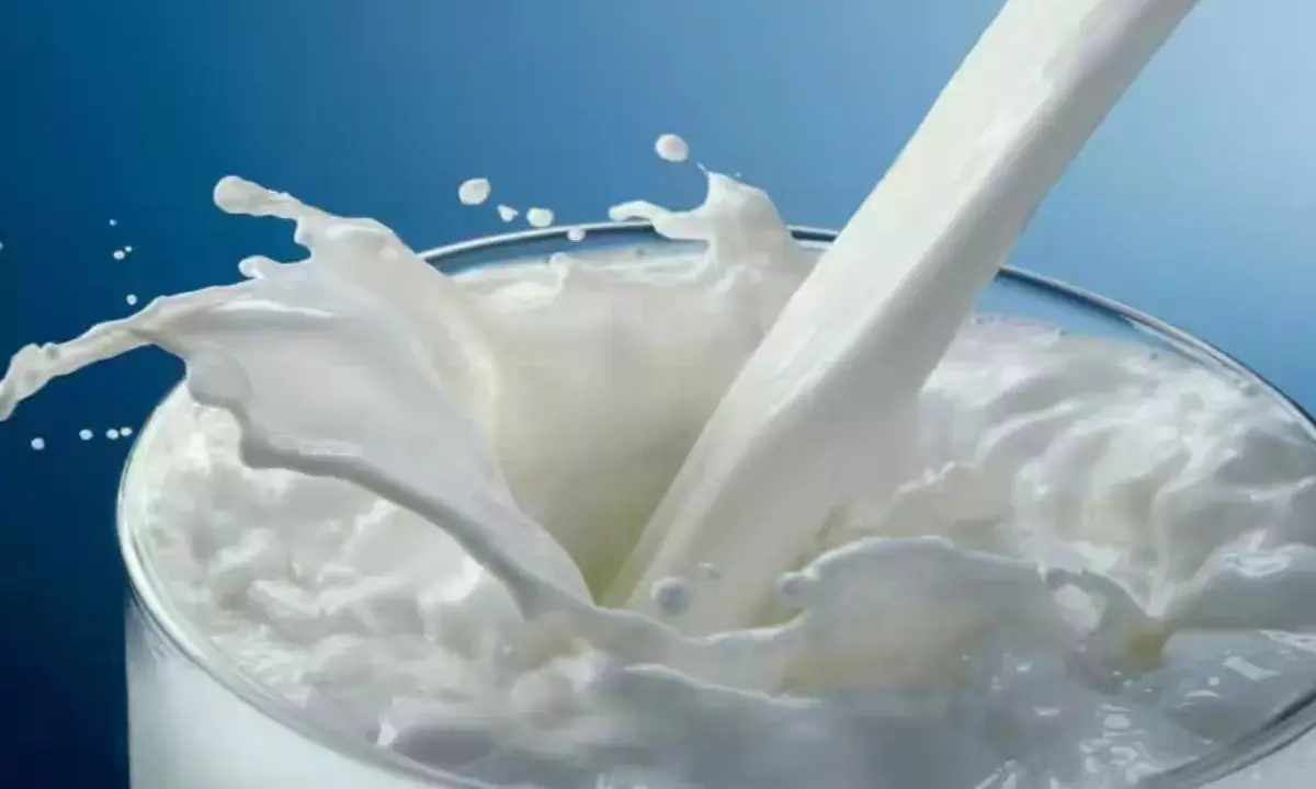 Rajasthan Milk Production