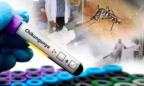 Chikangunya Cases in Delhi