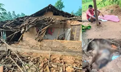 हाथियों का उत्पात जारी : 2 दिन में ली तीन की जान, 8 मकानों को पहुंचाया नुकसान