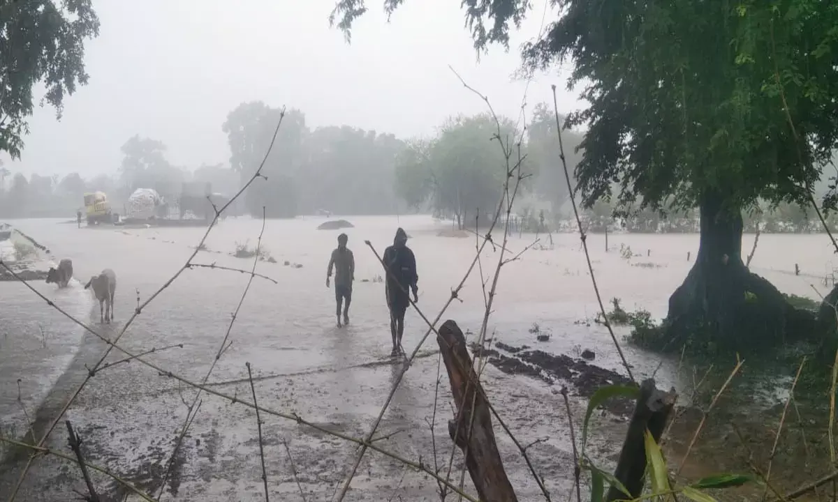 मनियारी नदी में बाढ़ : वनांचल के 19 गांवों का टूटा संपर्क, जन- जीवन अस्त-व्यस्त