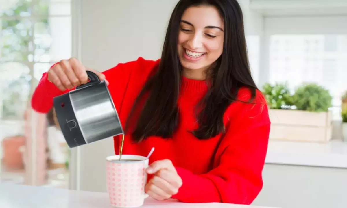 Electric Kettle Under 1000 rs Electric Kettle Under 1000 rs