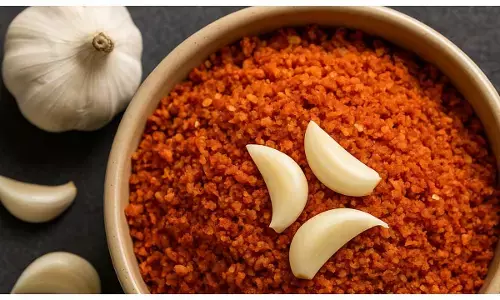 Dry garlic chutney storage tips Dry garlic chutney storage tips
