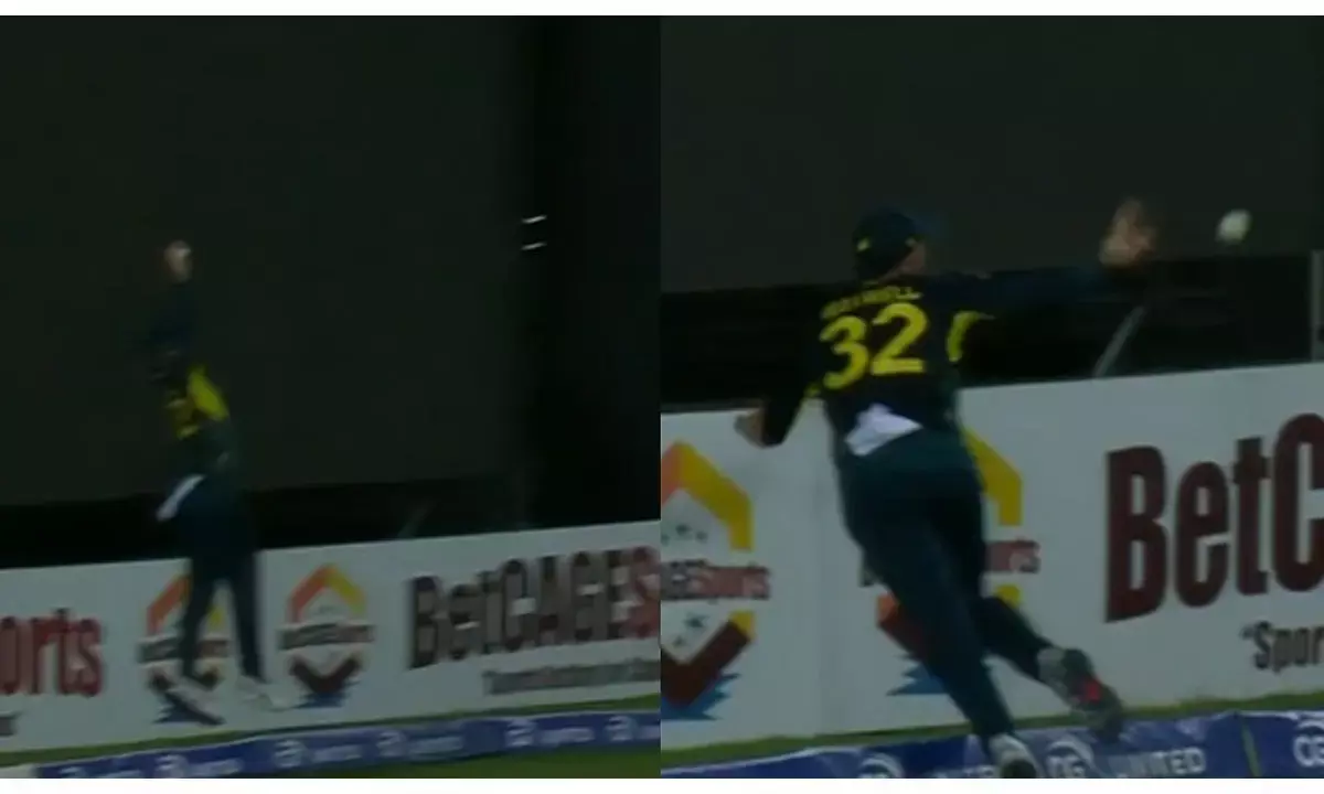 Glenn maxwell catch, glenn maxwell flying catch Glenn maxwell catch, glenn maxwell flying catch