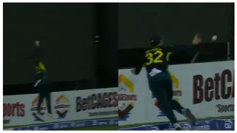 Glenn maxwell catch, glenn maxwell flying catch