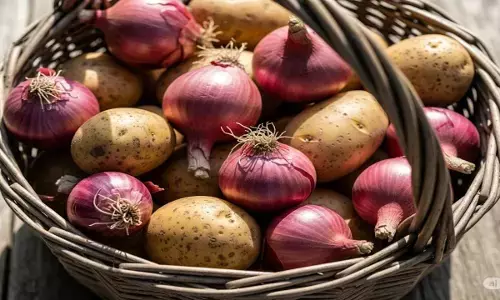 how to store onion and potato how to store onion and potato